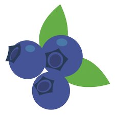 Blueberries