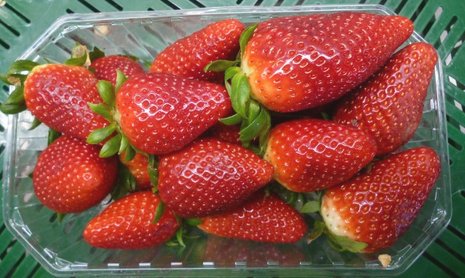 Fresas en embalaje